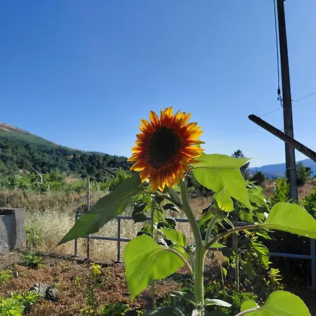 Quinta Da Agua Torre De Moncorvo