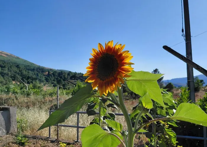 Quinta Da Agua Torre De Moncorvo