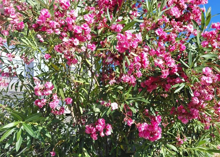 Quinta Da Agua Pensión 3*